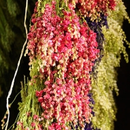 Hanging Flowers to Dry