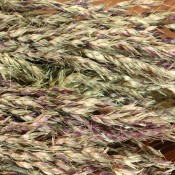 Dried Sudan Grass for Sale