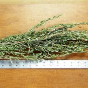 Dried Rosemary for Sale LoveJoy Farms